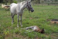 Ein Paradies für Tiere