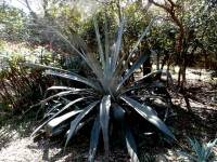 Ich nenne es Herbstfrühling